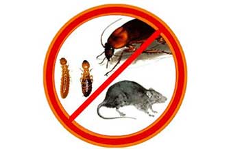 Técnicas Controle de Pragas e Limpeza - Foto 1