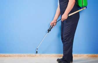 Herreira Dedetizadora - Foto 1