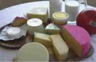 Latícinios Magnus - Foto 1