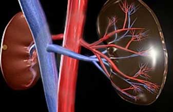 José Albani de Carvalho Júnior - Foto 1