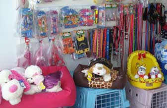 Cãosultório Pet Shop - Foto 1