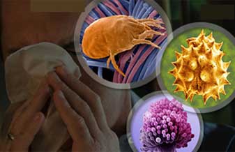 Clínica Infantil Dr. Edson Trevisan - Foto 1